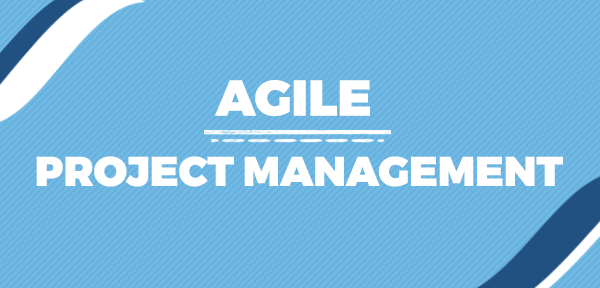 Why IT Professionals Need to Learn Agile Project Management